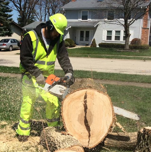 Absolute Tree Solutions Image