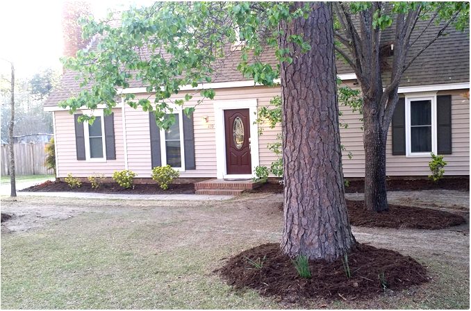 Thompsons Tree Climbers, LLC Image