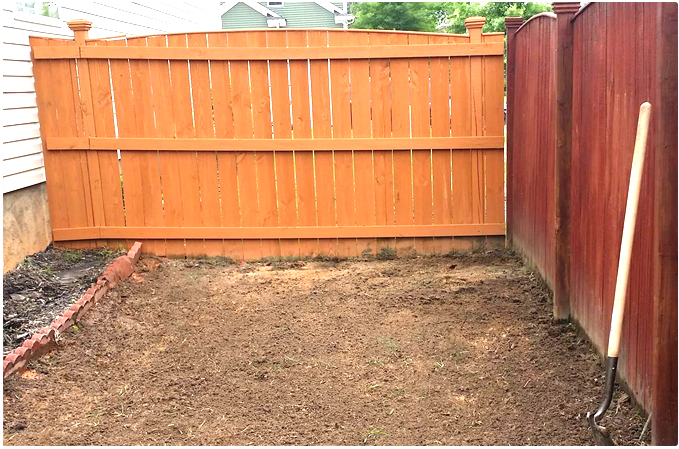 Thompsons Tree Climbers, LLC Image