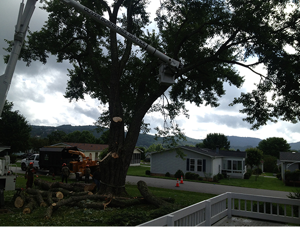 All Pro Tree & Crane Image