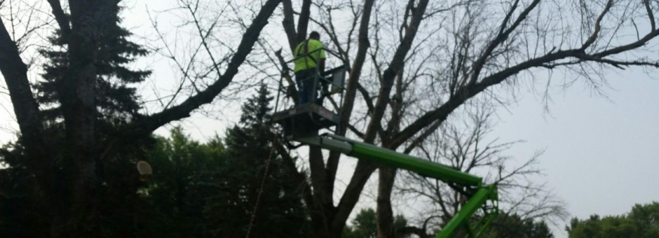 M & M Maintenance LLC Image