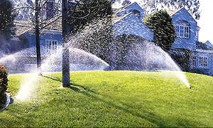 Daniel Landscaping Image