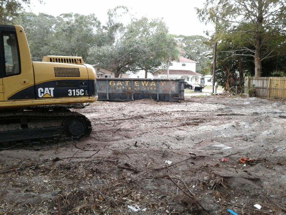 Tampa Tree Trimming & Services Inc Image