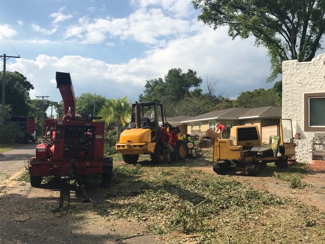 Tampa Tree Trimming &amp; Services Inc Logo