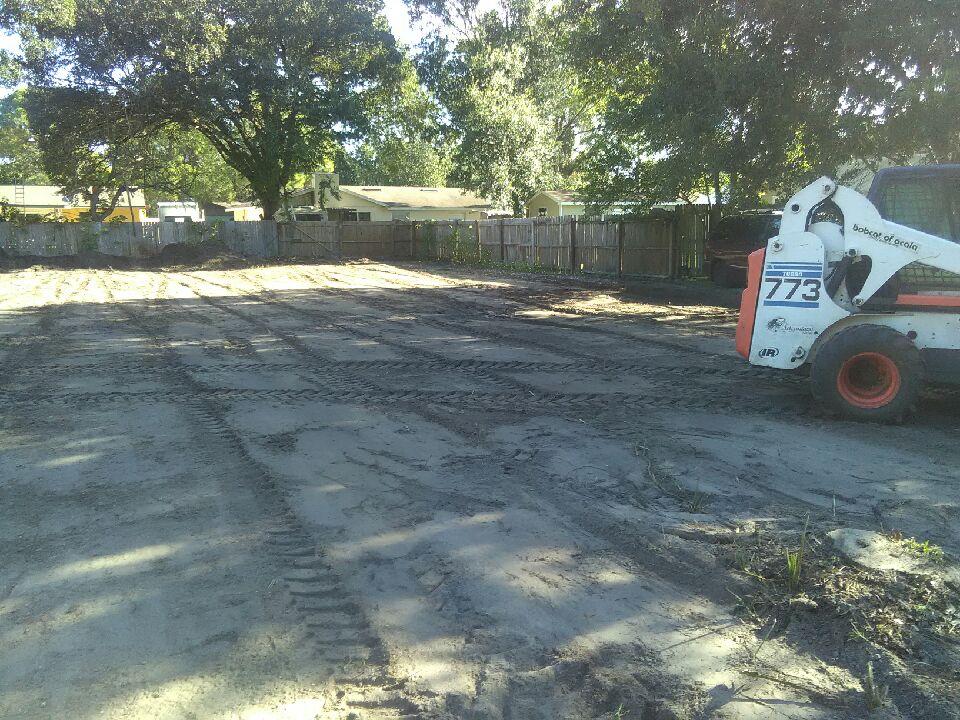 Tampa Tree Trimming & Services Inc Image