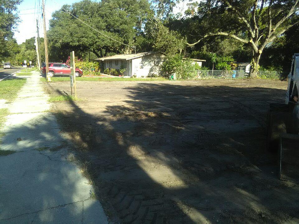 Tampa Tree Trimming & Services Inc Image