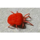 A Do It Yourself Pest Control Store Image