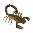 A Do It Yourself Pest Control Store Image