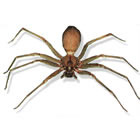 A Do It Yourself Pest Control Store Image