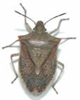 A Do It Yourself Pest Control Store Image