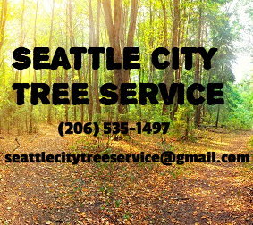 Seattle City Tree Service Logo