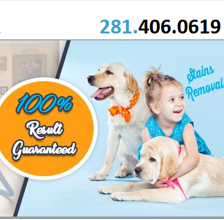 Channelview Carpet Cleaning TX Logo