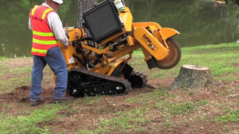 Your Little Rock Tree Service Image