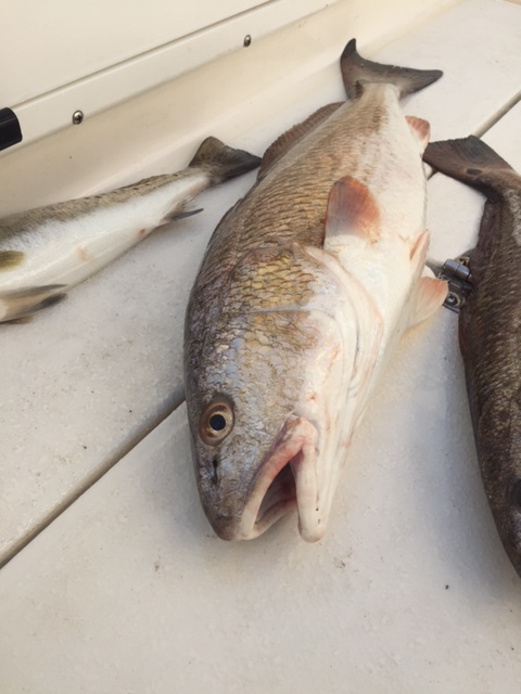 Island Time Charters Image