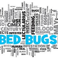 Patrick's Pest Control 330 203 9472 Image