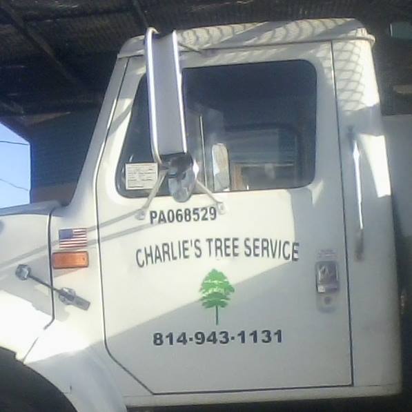 Charlies Tree Service Logo