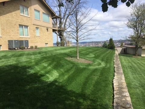 Florence Lawn Care Service