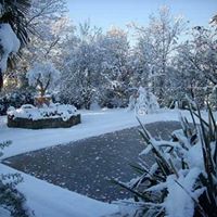 Dacula Pool Service Inc Image