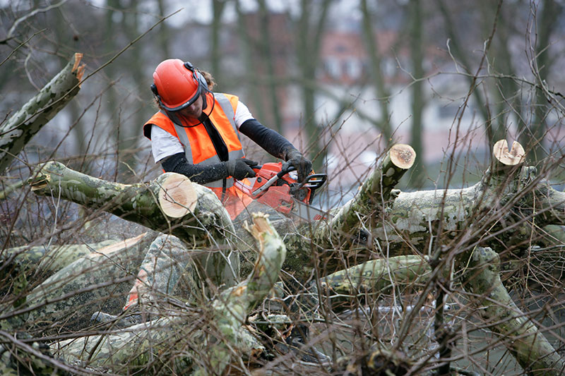 Tate's Tree Service Image