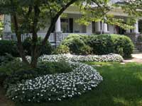 Green View Landscaping Image