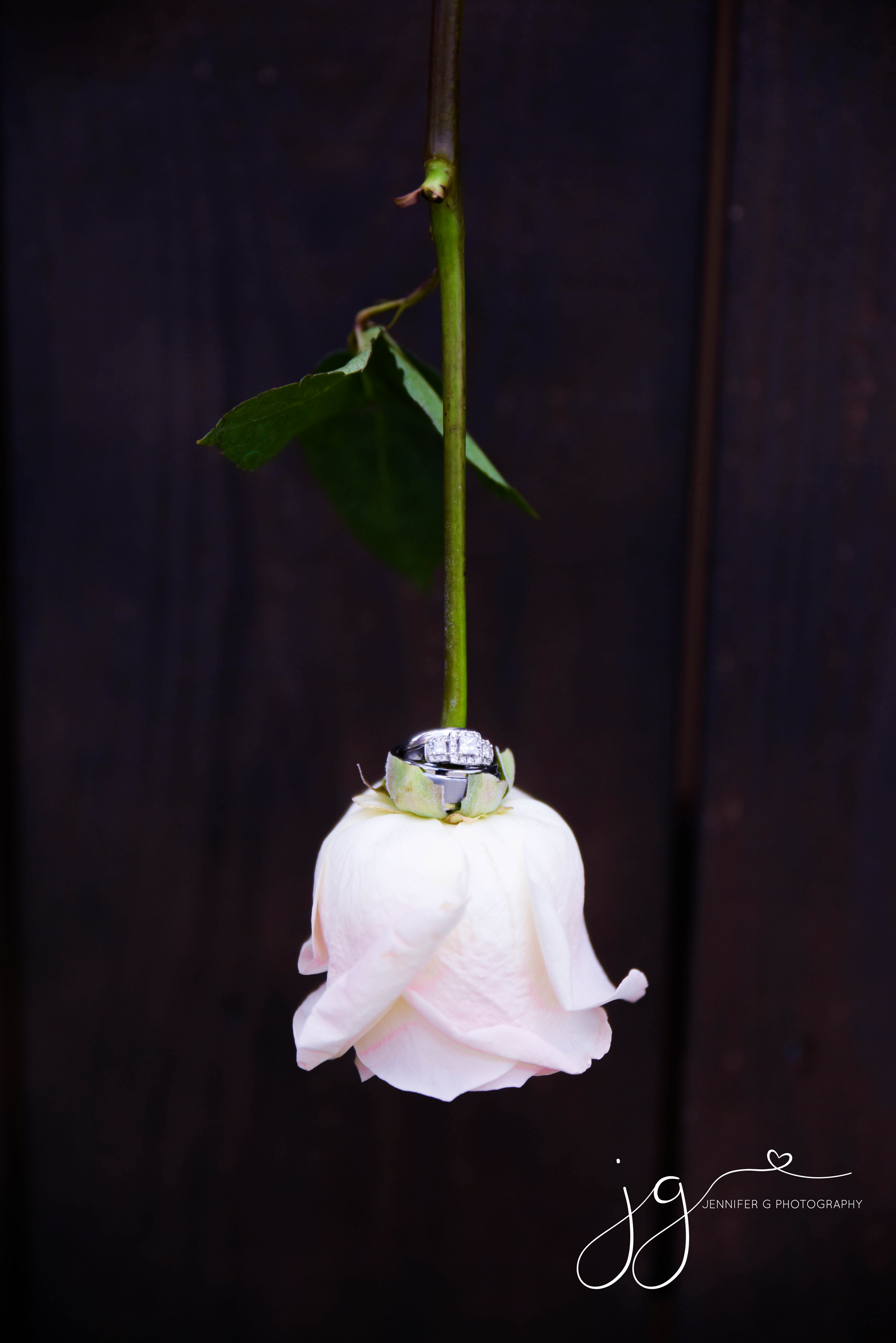 Jennifer G Photography Image