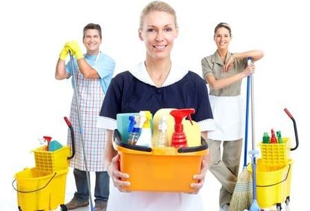 Layton Cleaning Pros Image