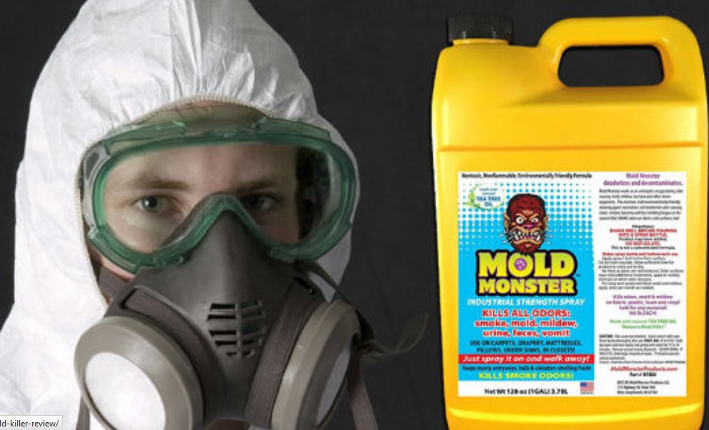 Let's Remove Mold Image