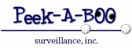Warren Security Cameras Logo
