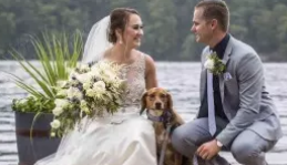 Wedding Photography Prices & Packages Image