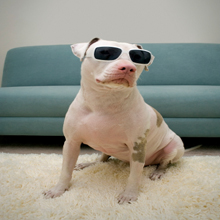 D.R.S. Restoration and Cleaning Image