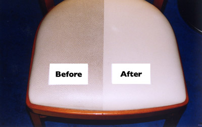 Eco-Cleaning Services Image