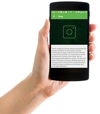 getSmartcoders - Offshore Software Development Company Image