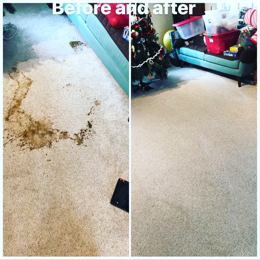 Kapllan Cleaning Image