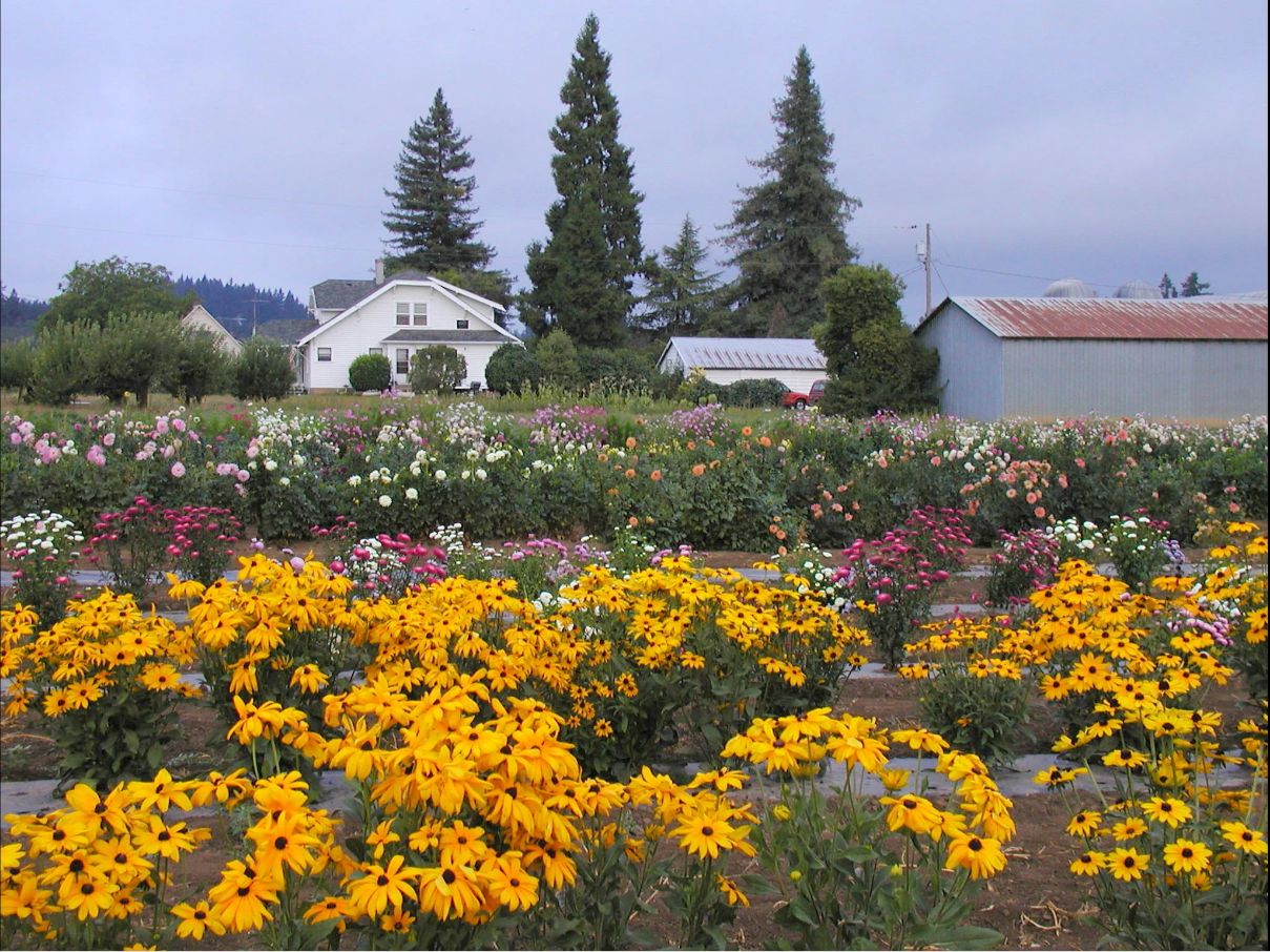 Boca Raton Landscaping, Lawn Care Service and Landscapers Image