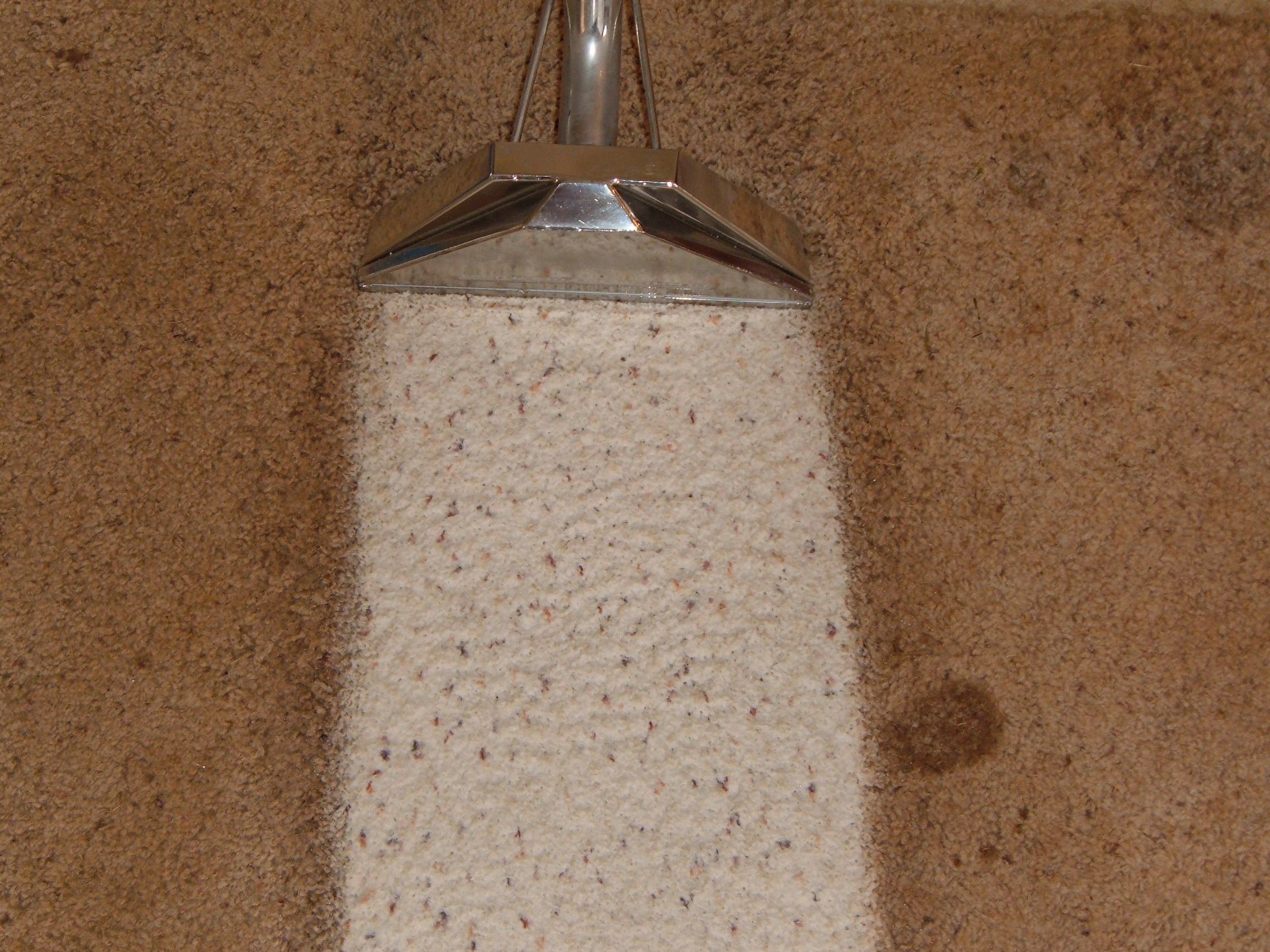 Desert Steam Clean Image