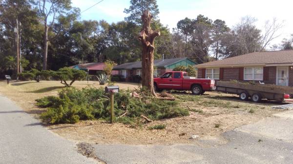 Highlander Tree Care Image