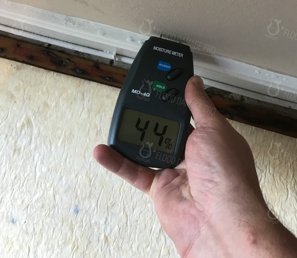 FDP Mold Remediation Rockville Image