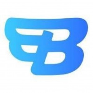 Budget Auto Shipping-Phoenix Logo