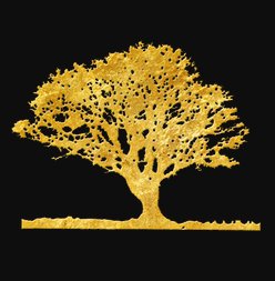 Asheville Tree Service Logo