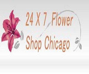Send Flowers Chicago IL - 24x7 Logo