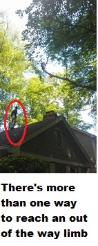 All Pro Tree Service Image