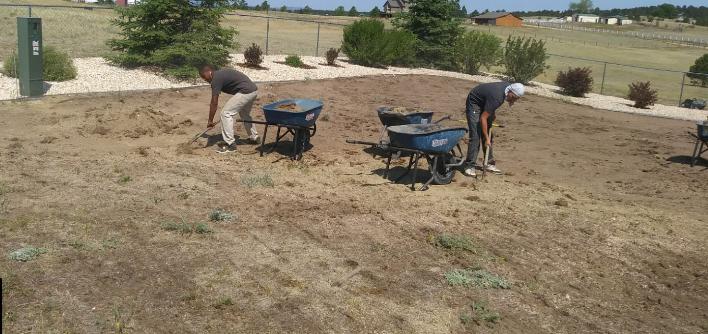 Turf Pros Solution Chicago Image