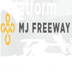 MJ Freeway Business Solutions Logo