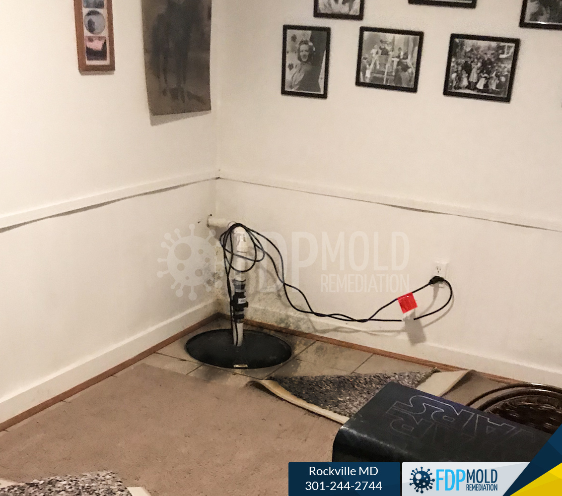 FDP Mold Remediation of Rockville Image