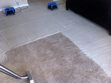 Carpet Cleaning Deluxe - Parkland Image
