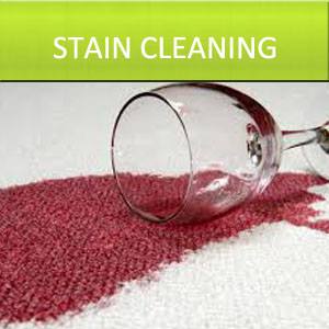 Carpet Cleaning Deluxe - Parkland Image