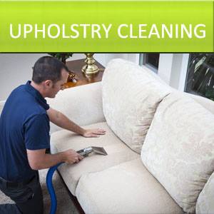 Carpet Cleaning Deluxe - Parkland Image