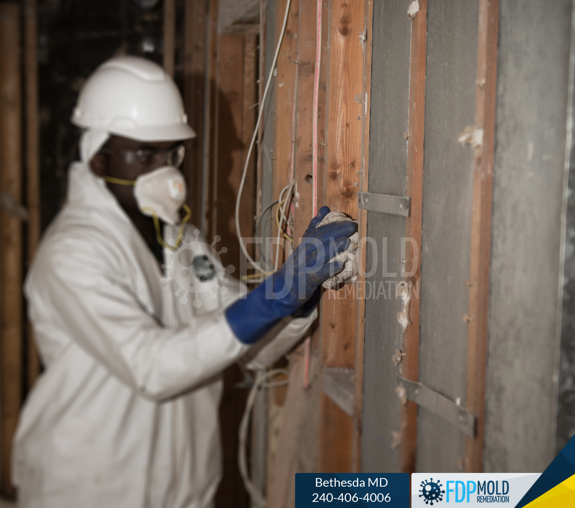 FDP Mold Remediation of Bethesda Image