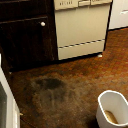 Water Damager Restoration Corp Image