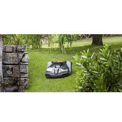 Champion Automower Image